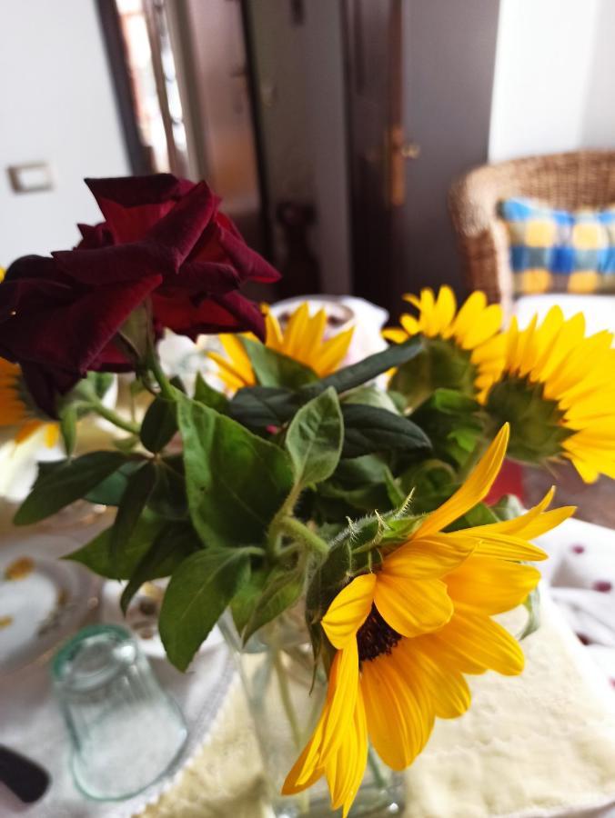 B&B Va...Lentina Piavata 外观 照片